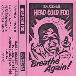 Disism - Head Cold Fog mp3