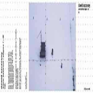 Dawid Szczesny - Snow Beetroot / Stapes I-III mp3