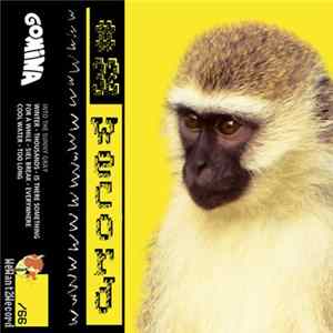 Gomina - Into The Sunny Gray mp3