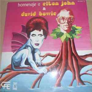 Unknown Artist - Homenaje A Elton John & David Bowie mp3