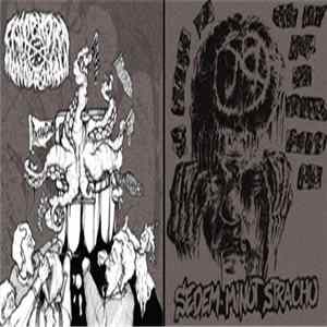 Camphora Monobromata / Sedem Minút Strachu - I'm Telling You It's Not Music It's Frantic, Frantic Noise mp3