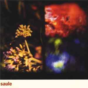 Saule - Saule mp3