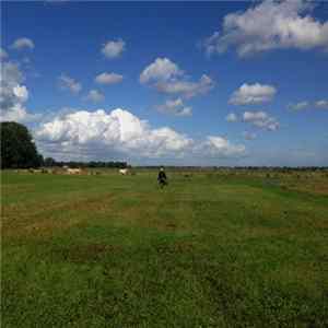 Biosphere - The Hilvarenbeek Recordings mp3