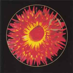 Organic Cloud - Organic Cloud mp3