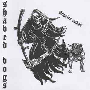 Shaved Dogs - Angeles Caídos mp3
