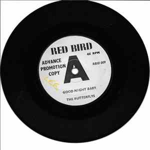 The Butterflys - Good Night Baby / The Swim mp3