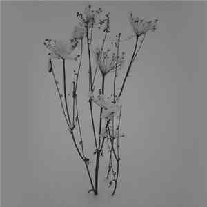 16P17R15O19T15O19T23Y16P & OBOZDUR - Frozen Pause. Winter Sessions mp3