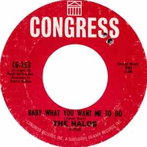 The Halos - Baby What You Want Me To Do mp3