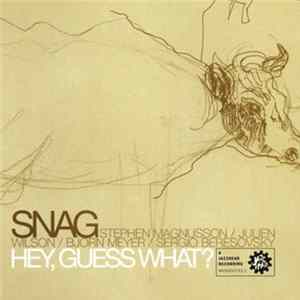 SNAG - Hey, Guess What? mp3