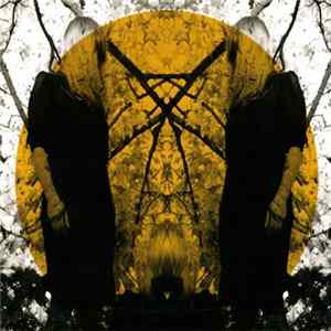 Austra - Feel It Break mp3
