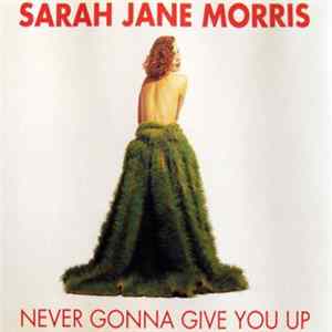 Sarah Jane Morris - Never Gonna Give You Up mp3