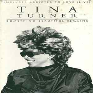 Tina Turner - Something Beautiful Remains mp3