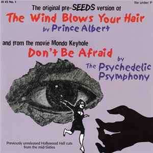 Prince Albert / The Psychedelic Psymphony - The Wind Blows Your Hair / Don't Be Afraid mp3