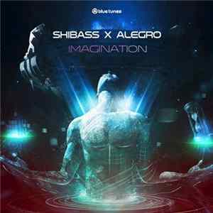 ShiBass X Alegro - Imagination mp3