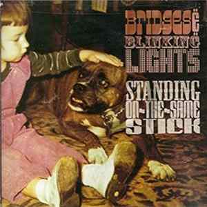 Bridges & Blinking Lights - Standing On The Same Stick mp3
