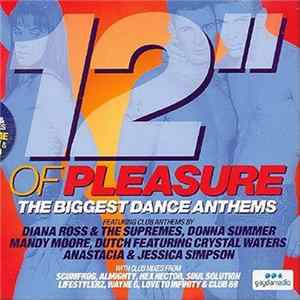 Various - 12" Of Pleasure: The Biggest Dance Anthems mp3