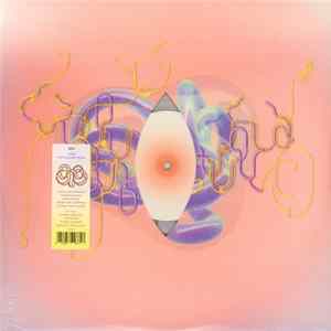 Björk - Notget (Lotic Fromdeath Version) mp3