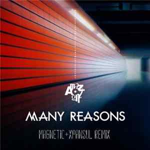 Many Reasons - Magnetic mp3