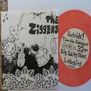 The Ziggens - Big Salty Tears mp3