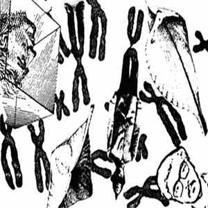 Various - Meet the Fifth Column! (Categorized Talericans) mp3