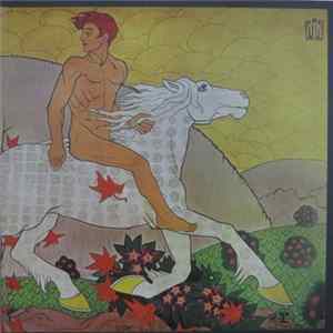 Fleetwood Mac - Then Play On mp3