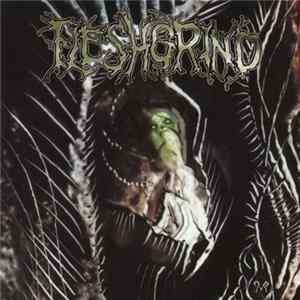 Fleshgrind - The Seeds Of Abysmal Torment mp3
