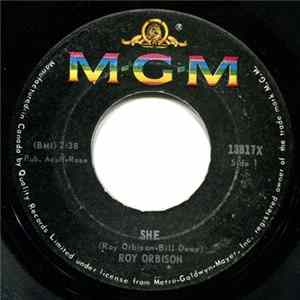 Roy Orbison - She / Here Comes The Rain Baby mp3
