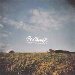 Rex Banner - The Good Times Are Killing Me mp3