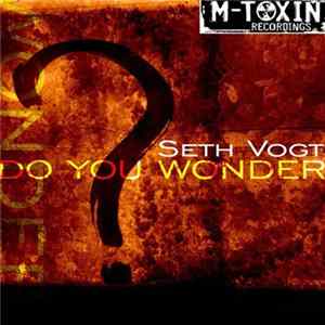 Seth Vogt - Do You Wonder mp3