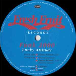 Funk 2000 - Funky Attitude mp3
