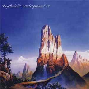 Various - Psychedelic Underground 12 mp3