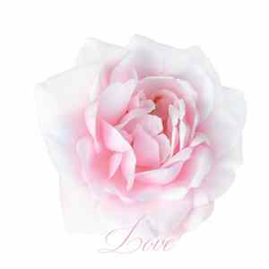 Muscle And Marrow - Love mp3