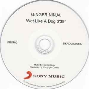 Ginger Ninja - Wet Like A Dog mp3