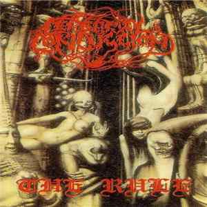 Cerebral Concussion - The Rule mp3
