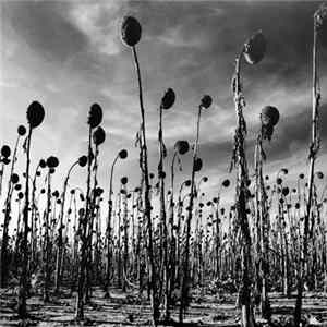 Dead Can Dance - Anastasis mp3