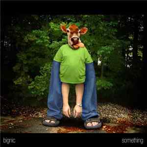 Bignic - Something mp3