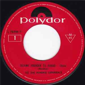 The Jimi Hendrix Experience - Dejame Prender tu Fuego / La ardiente Lampara de Medianoche mp3
