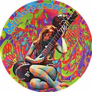 Various - Mindexpanders (In Search Of The Orgiastic Flashtastic Psychspastic Groove) mp3
