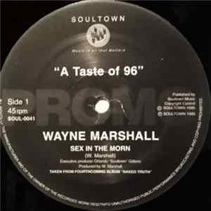 Wayne Marshall - A Taste Of 96 mp3
