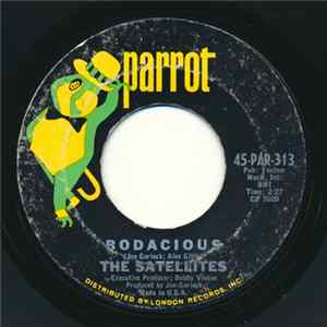 The Satellites - Bodacious mp3