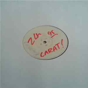 The Halfbreed - Jungle Hop mp3