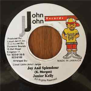 Junior Kelly - Joy And Splendour mp3