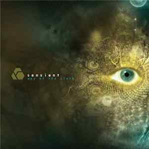 Sensient - Way Of The Sloth mp3