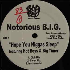 Notorious B.I.G. - Hope You Niggas Sleep / Big Booty Hoes mp3