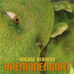 Anemonengurt - Bocuse Berneau mp3