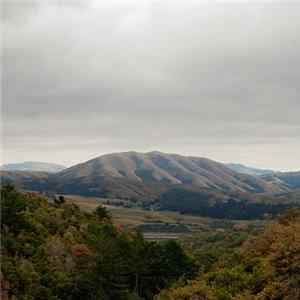Dirty Projectors + Björk - Mount Wittenberg Orca mp3