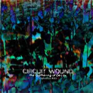 Circuit Wound - The Gathering Of Decay mp3