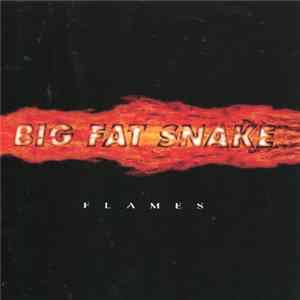 Big Fat Snake - Flames mp3