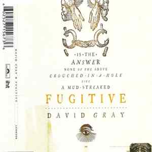 David Gray - Fugitive mp3