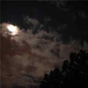 Chris Dutrieux - Magick Kingdom mp3